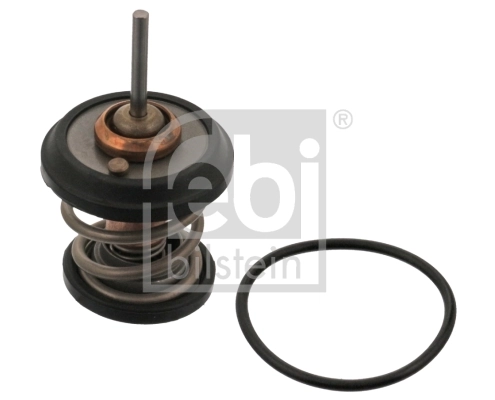 Thermostat, coolant